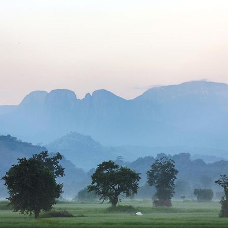 Farcry Nature Boutique Resort Matale Eksteriør bilde