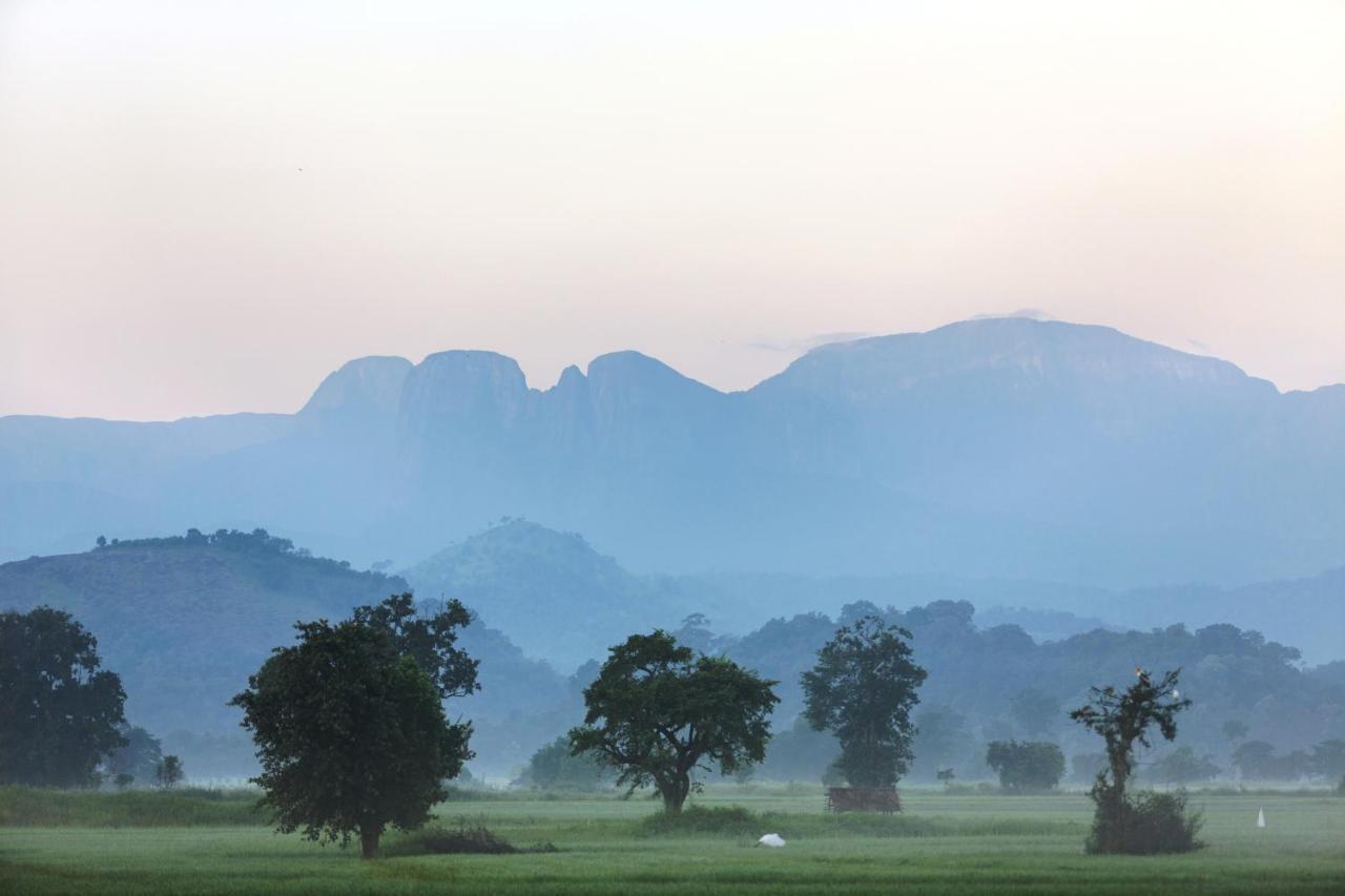 Farcry Nature Boutique Resort Matale Eksteriør bilde